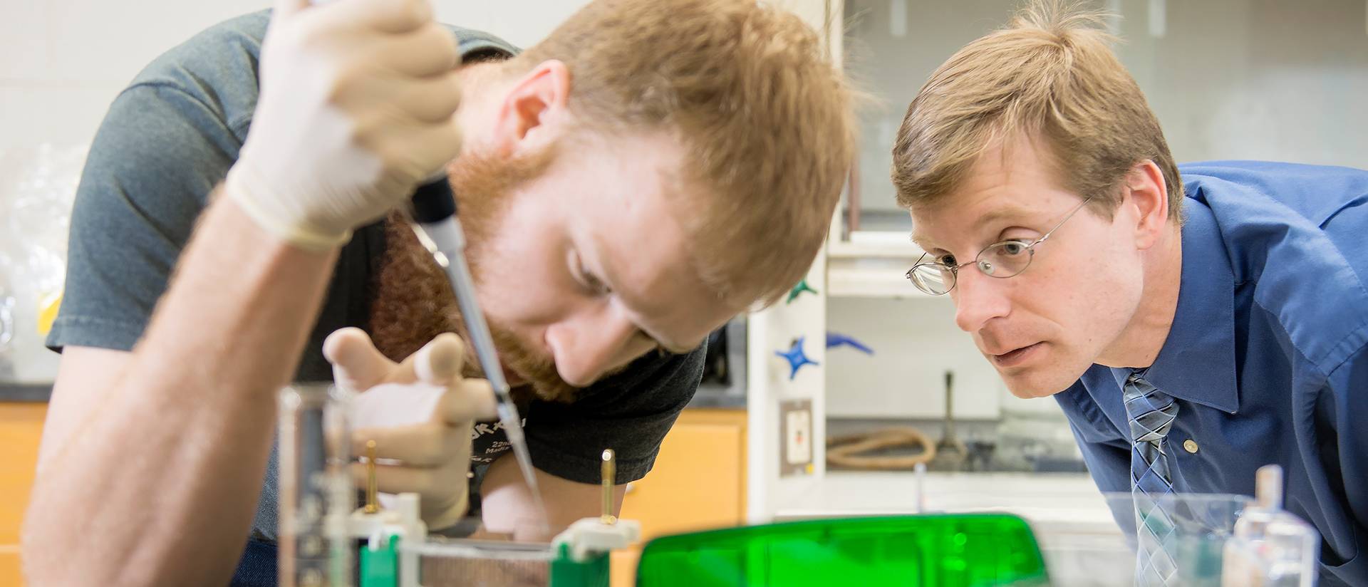 Gavin Sunde (left) and Dr. Derek Gingerich (right) extract plant proteins to analyze response to red wavelength light.